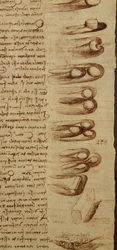 Scientific diagrams, from the Codex Leicester (detail)